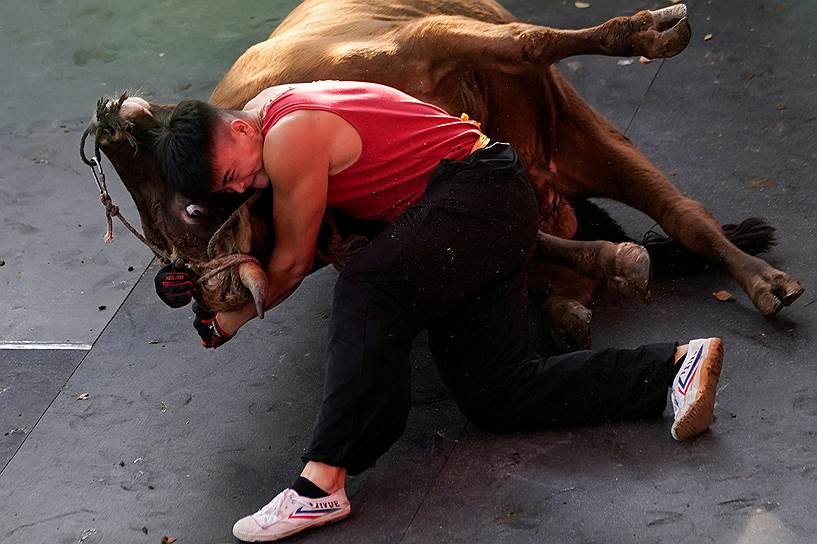 Чжэцзян, Китай. Сражение с быком во время корриды