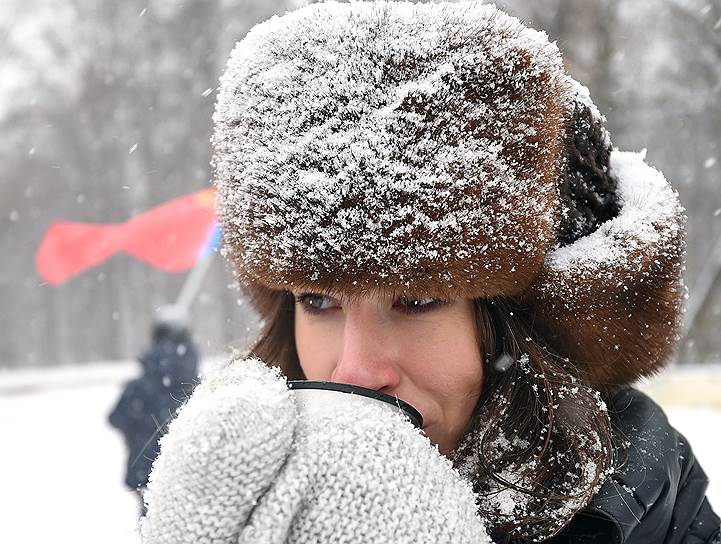 Участница митинга за отмену пенсионной реформы на площадке «Гайд-парк» в парке «Сокольники» во время снегопада