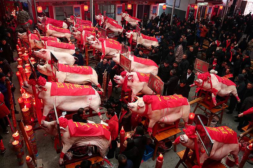 Тайчжоу, Китай. Демонстрация больших свиных туш во время празднования Нового года
