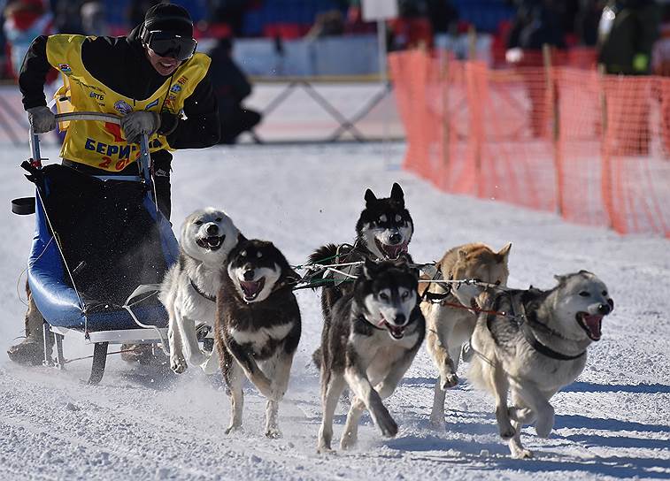 21 февраля, за два дня до гонки-пролога, состоялась традиционная детская гонка на собачьих упряжках «Дюлин». Самостоятельным мероприятием она стала в 2017 году, до этого ее проводили в рамках праздника открытия «Берингии»