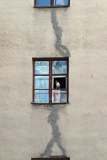 Москва, Россия. Кошка в окне жилого дома на улице Новый Арбат 