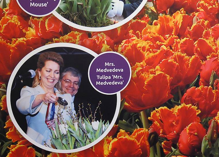 В новом павильоне «Юлиана» открылась историческая выставка, которая рассказывает о том, как тюльпаномания XVII века привела к тому, что этот цветок стал символом Голландии. В 2010 году супруга на тот момент президента РФ Дмитрия Медведева Светлана Медведева была гостем на открытии 61-го сезона парка. В честь нее назвали новый сорт тюльпана