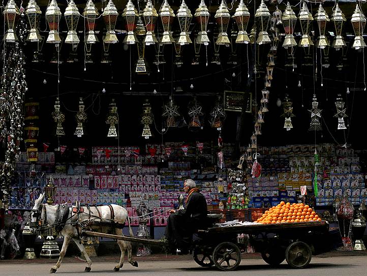 Каир, Египет. Продавец апельсинов едет на телеге