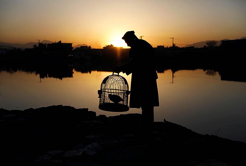 Кабул, Афганистан. Мужчина с куропаткой в клетке на рассвете
