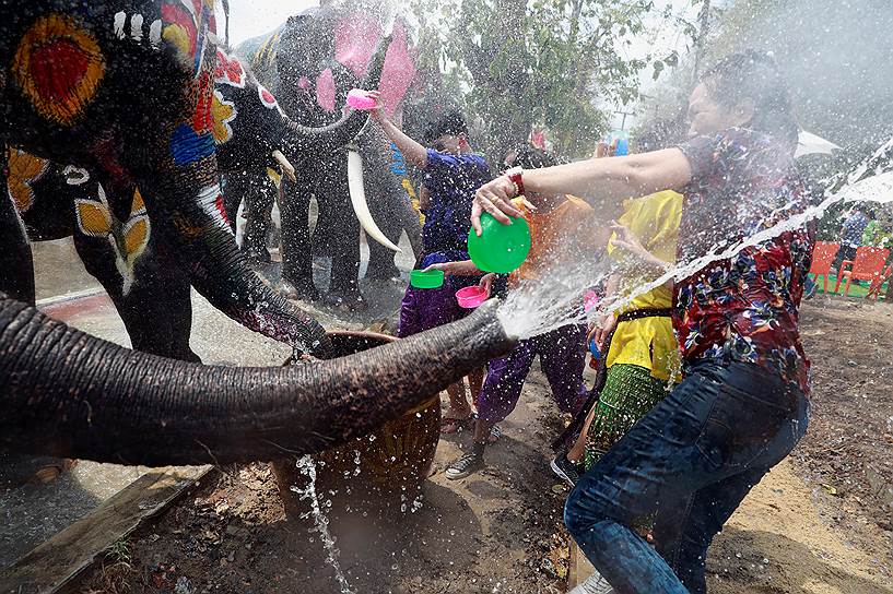 Аюттхайя, Таиланд. Слоны и люди на праздновании Сонгкрана — тайского Нового года 