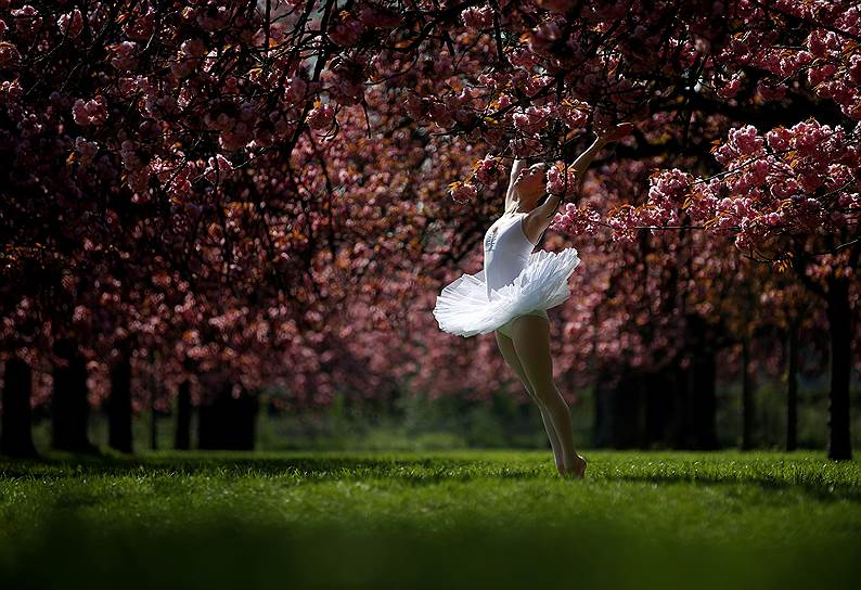 Париж, Франция. Танцовщица среди вишневых деревьев в парке 