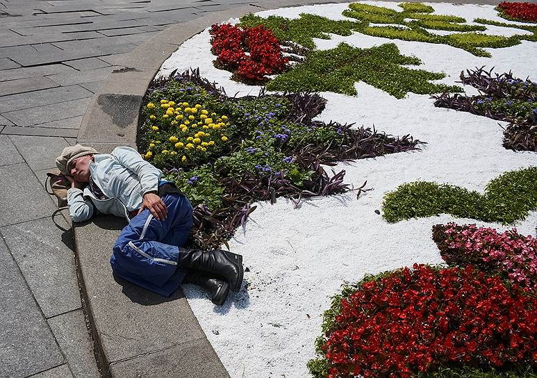 Киев, Украина. Женщина отдыхает возле клумбы