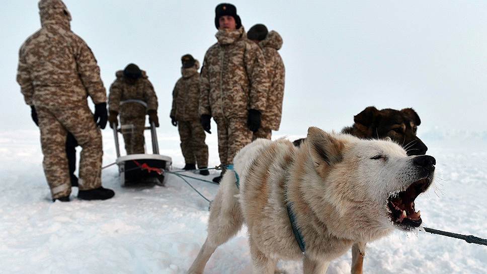 Пентагон опасается самостоятельности России в Арктике