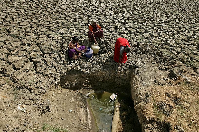Ченнай, Индия. Женщины набирают воду из пересохшего озера