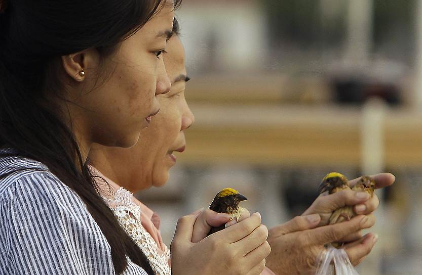 Пномпень, Камбоджа. Женщины собираются выпустить птиц во время буддийского праздника