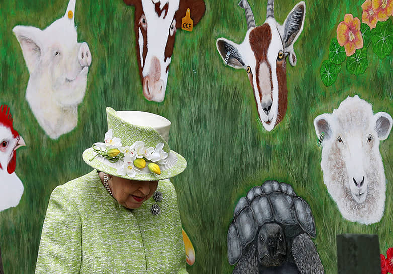 Эдинбург, Великобритания. Королева Елизавета II во время посещения городской фермы