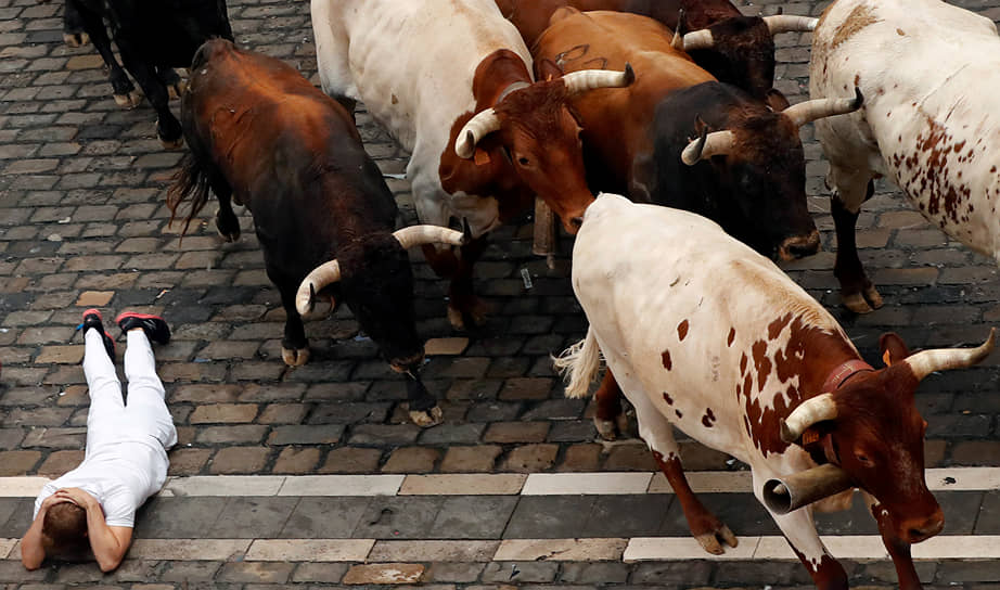 Памплона, Испания. Забег быков на фестивале «Сан-Фермин» 