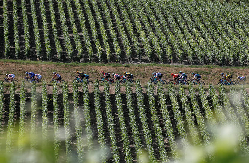 Бельгия, Франция. Этап велогонки «Тур де Франс» от Бенша до Эперне