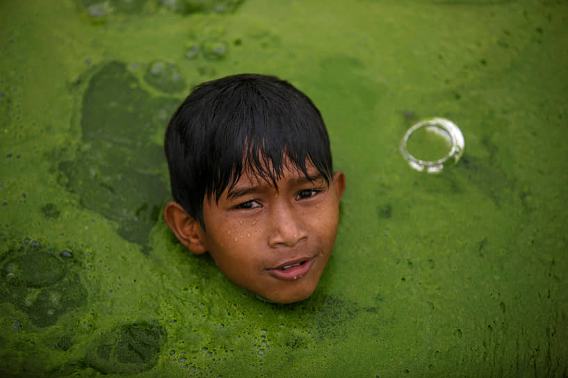 Бхактапур, Непал. Мальчик плавает в пруду с водорослями