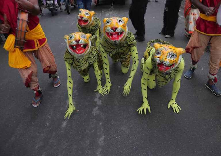 Хайдарабад, Индия. Наряженные тиграми артисты на индуистском фестивале