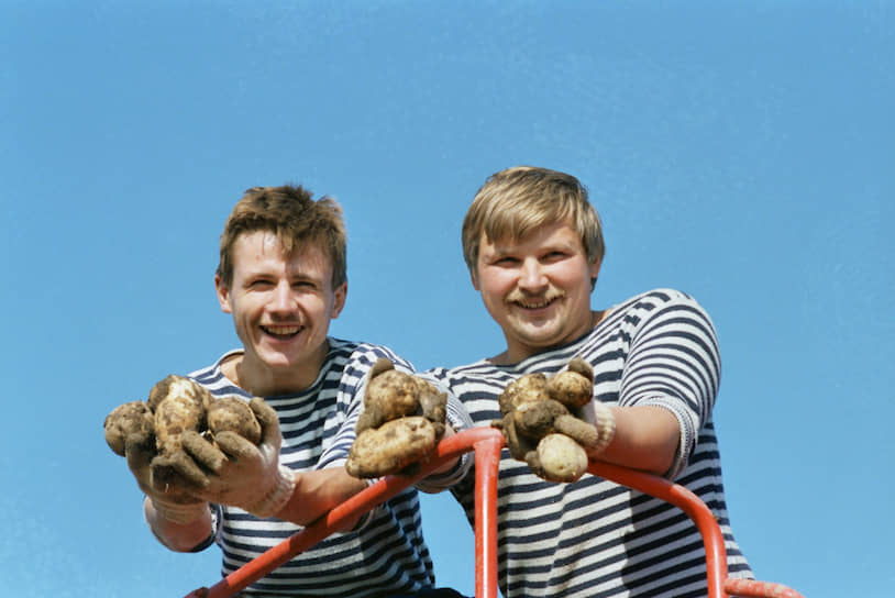 Моряки помогают собирать урожай картошки, июль 1990 года
