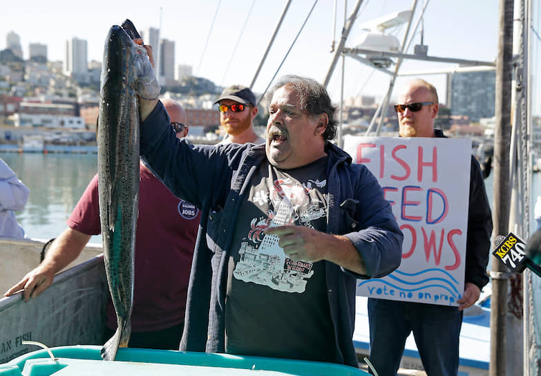 Участники демонстрации в Сан-Франциско призывали защитить дикого лосося от изменения климата