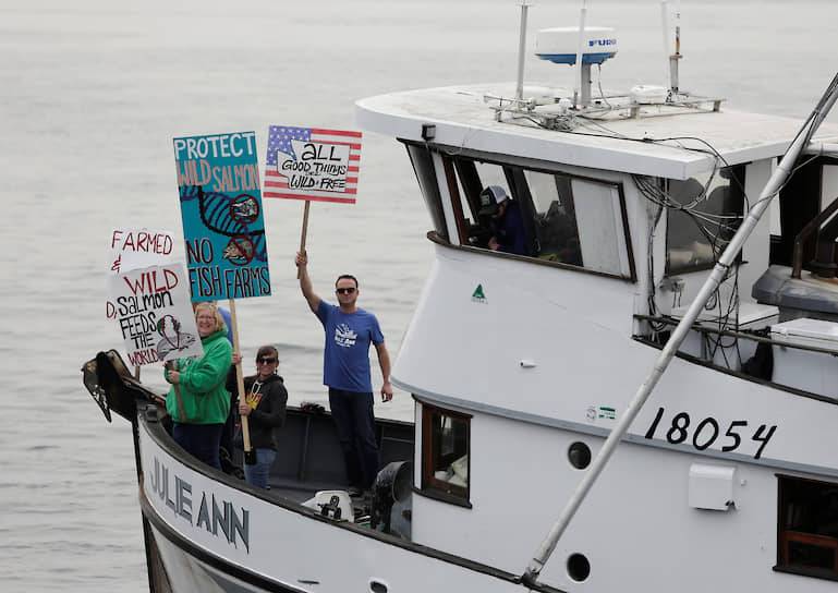 Демонстрация против аквакультуры лосося в штате Вашингтон