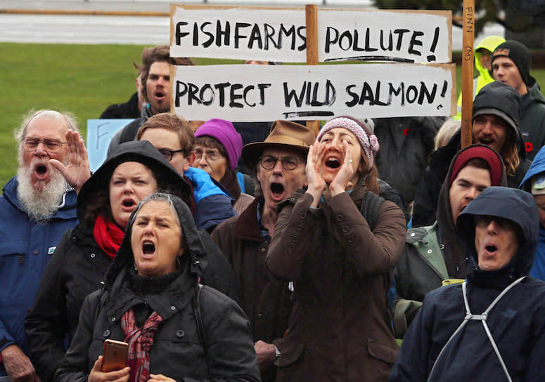 Индейцы квакиутл, веками промышлявшие дикого лосося, и сочуствующие им канадцы на акции протеста против аквакультуры лосося