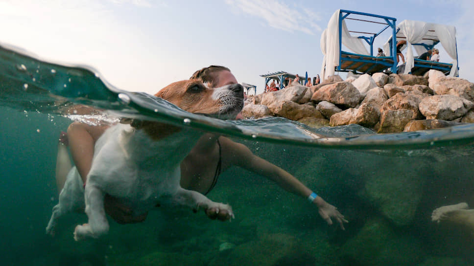 Цриквеница, Хорватия. Девушка участвует в заплыве «Underdog 2019» вместе со своей собакой