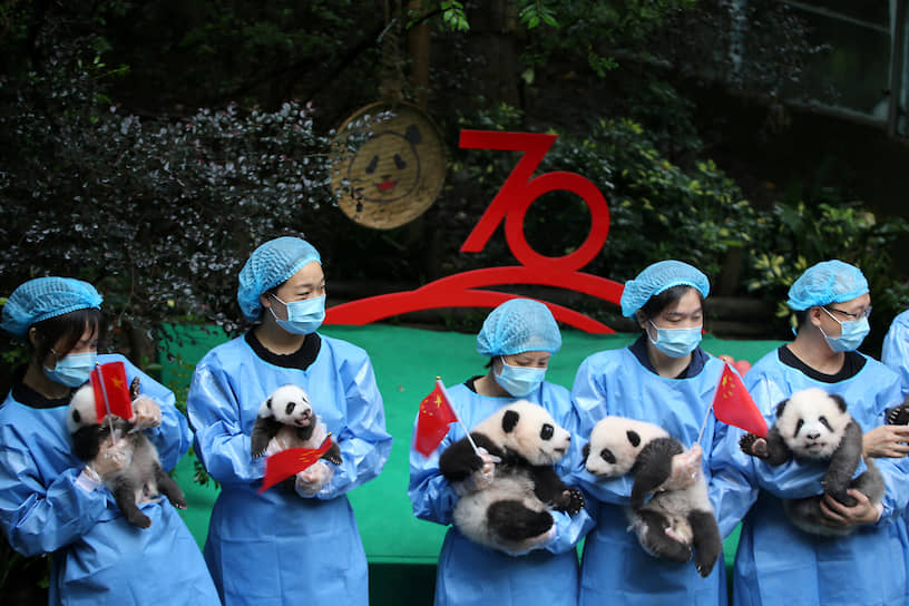 Чэнду, Китай. Сотрудники Центра изучения и разведения больших панд во время праздничных мероприятий, приуроченных к 70-летию основания КНР