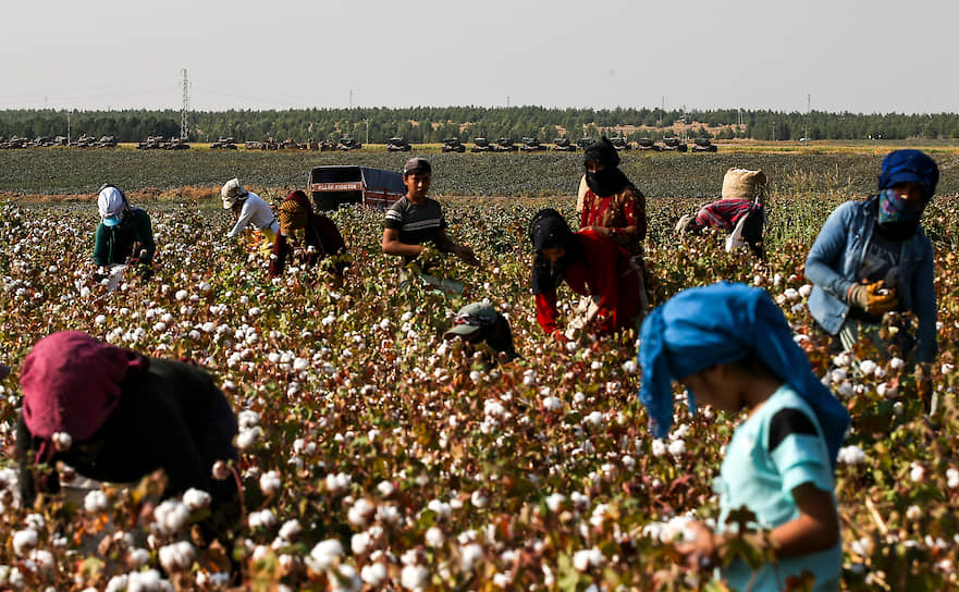 Шанлыурфа, Турция. Работники на хлопковом поле недалеко от границы с Сирией