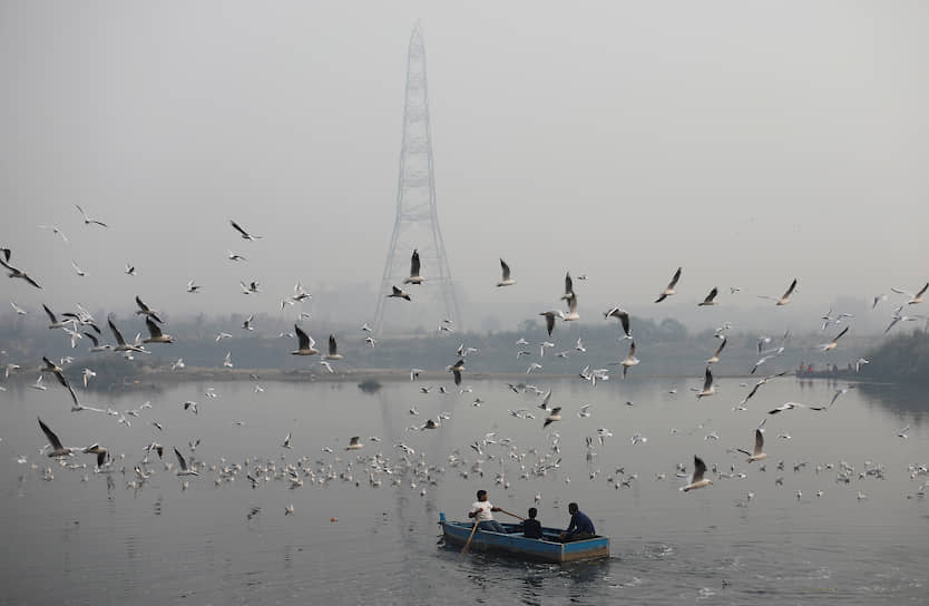 Дели, Индия. Люди катаются на лодке ранним утром