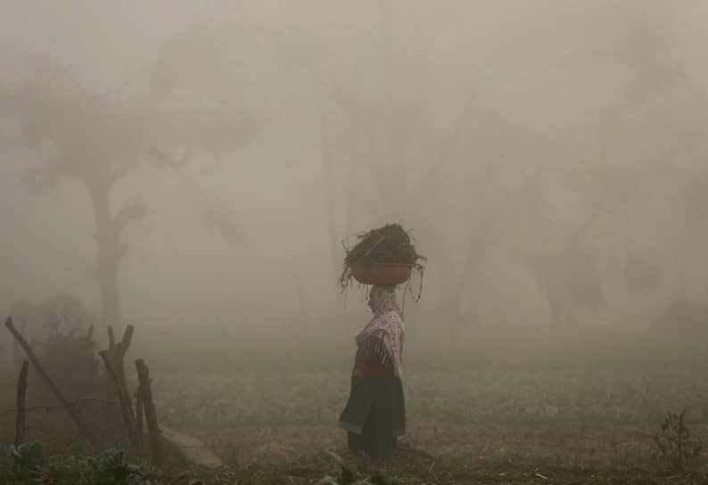 Сринагар, Индия. Женщина с корзиной на поле туманным утром 