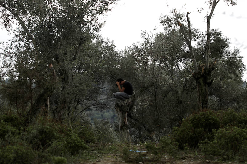 Остров Лесбос, Греция. Мигрант сидит на дереве возле лагеря беженцев