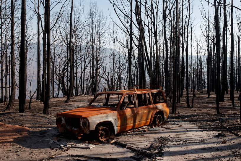 Кангару Вэлли, Австралия. Сгоревшая после лесного пожара машина среди деревьев