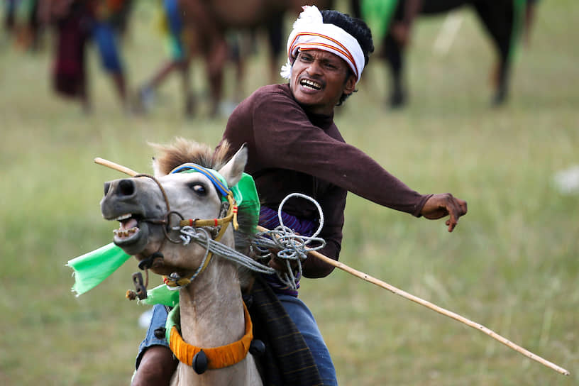 Ламбойя, Индонезия. Всадник бросает копье во время ежегодного праздника урожая