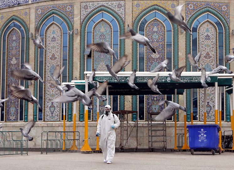 Кербала, Ирак. Дезинфекция мечети 