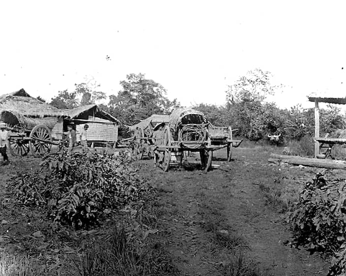 Так в начале XX века в Камбодже перевозили многие товары