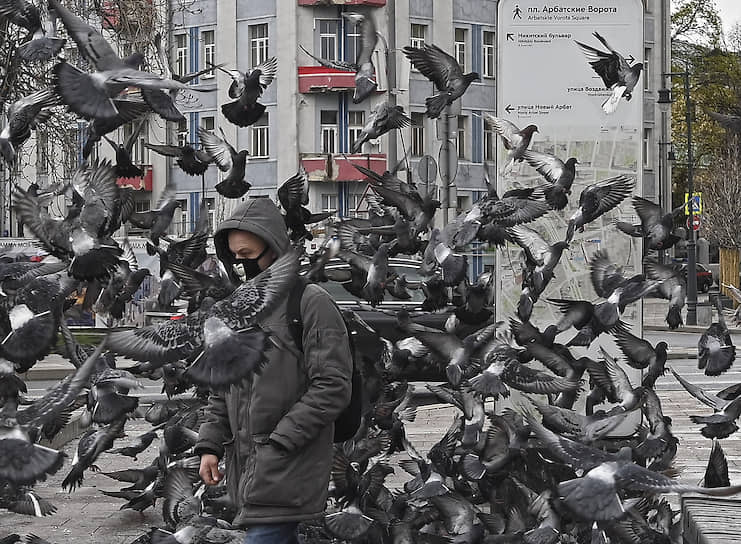 Москва, Россия. Молодой человек в маске и голуби на площади Арбатские ворота