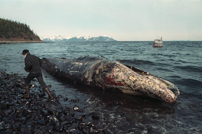 В марте 1989 года танкер компании Exxon Valdez сел на мель у берегов Аляски. В море вылилось около 40 тыс. тонн нефти, было загрязнено 2 тыс. км побережья. Компания потратила $3,8 млрд на очистку местности, компенсации и внесудебные выплаты властям