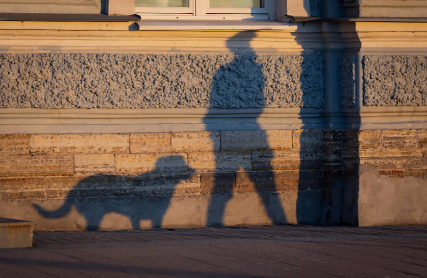 Санкт-Петербург. Тени человека и собаки на стене здания