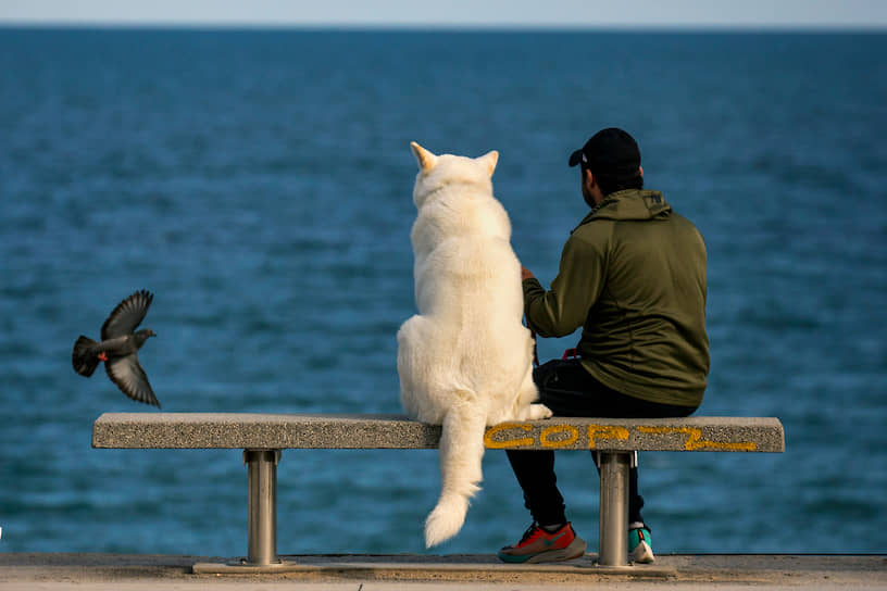 Барселона, Испания. Мужчина и его собака смотрят на Средиземное море 