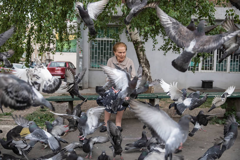 Белград, Сербия. Женщина кормит голубей 