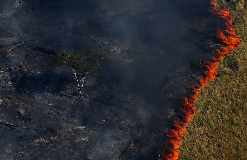 Лесной пожар в штате Амазонас на северо-западе Бразилии