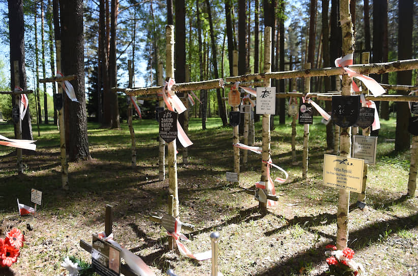  Кресты на польском военном кладбище в «Медном»