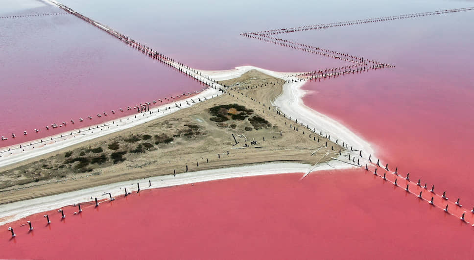 Крым, Россия. Озеро Сасык-Сиваш, где добывают розовую соль 