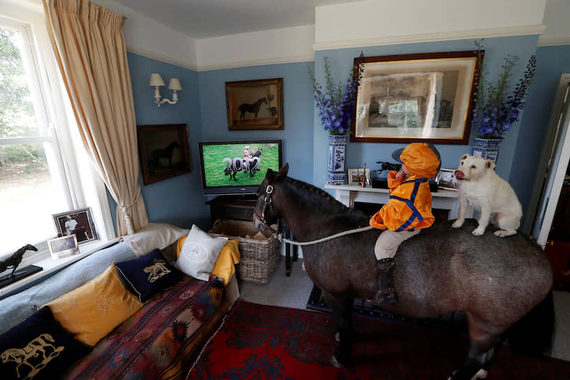 Бер-Реджис, Дорсет, Великобритания. Мальчик со своей собакой смотрит королевские скачки на телевизору, сидя верхом на лошади