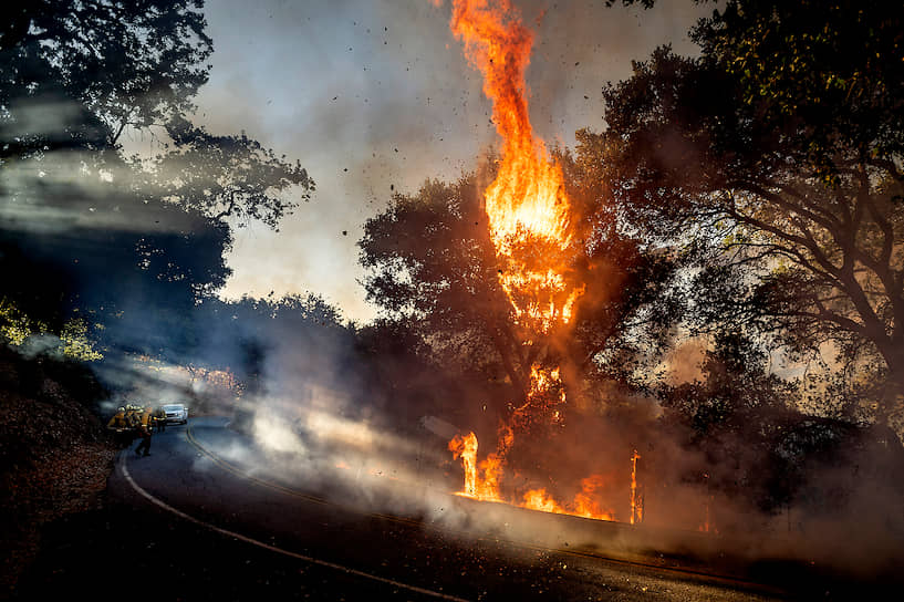 Гилрой, США. Лесные пожары в Калифорнии