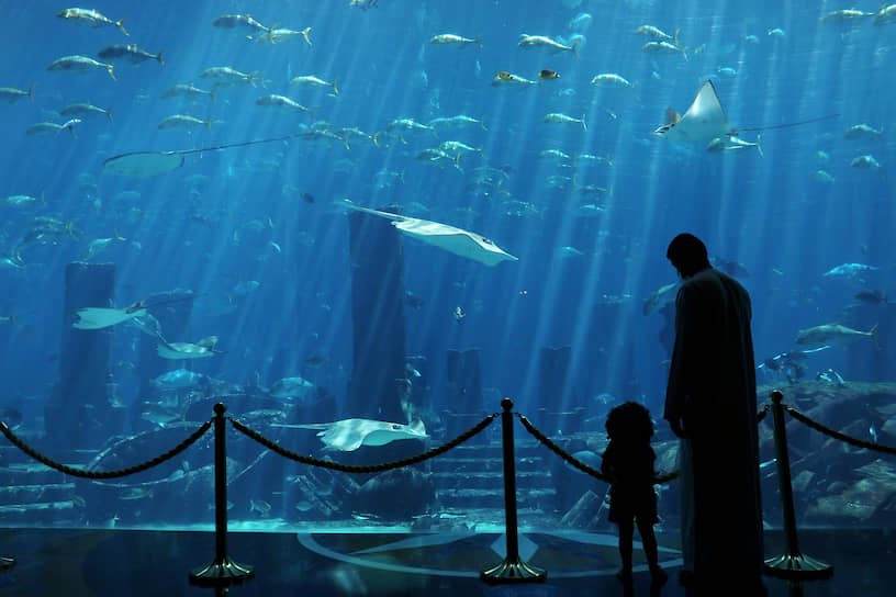 Дубай, ОАЭ. Отец и дочь смотрят на рыб в аквариуме