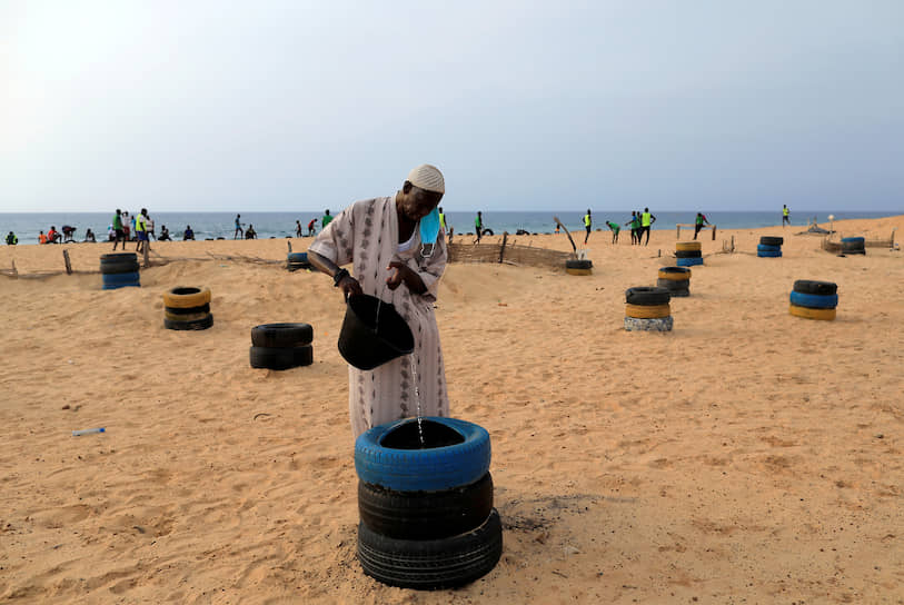 Дакар, Сенегал. Мужчина поливает саженцы деревьев
