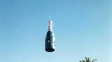 KMO 120232 22547 1 t221 212754 фото с шампанским в поле