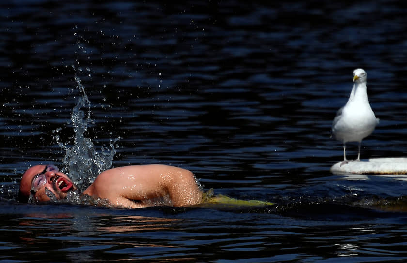 Лондон, Великобритания. Мужчина купается в водоеме 