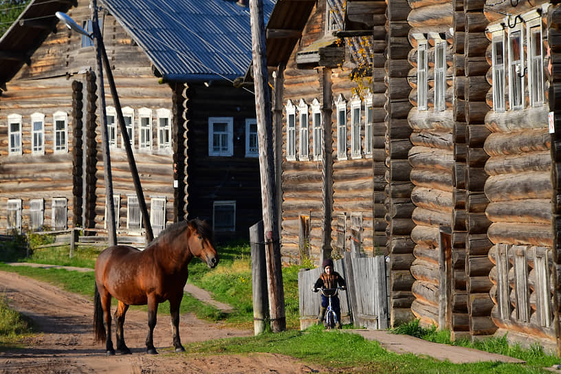 Деревня Кимжа, Архангельская область. Лошадь среди деревенских домов