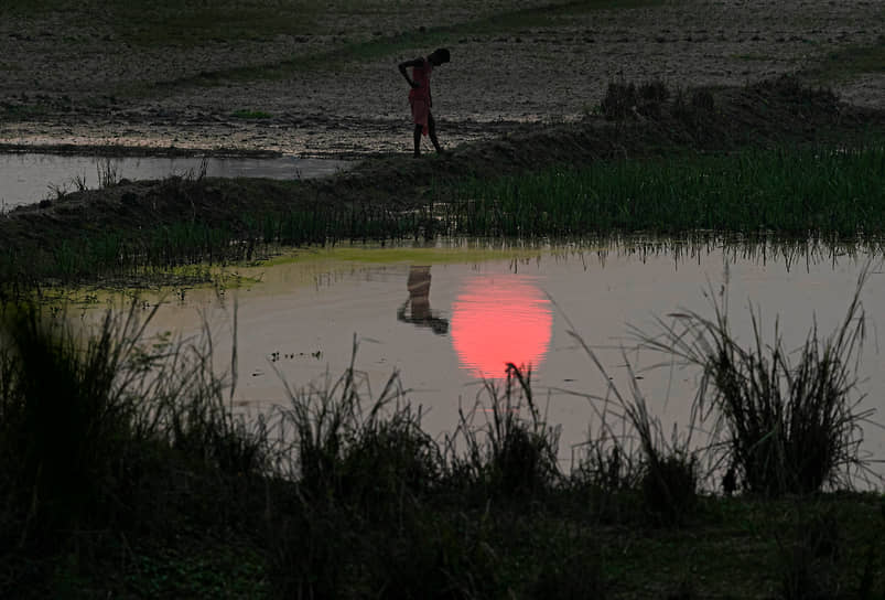 Гувахати, Индия. Фермер стоит на своем поле на закате 