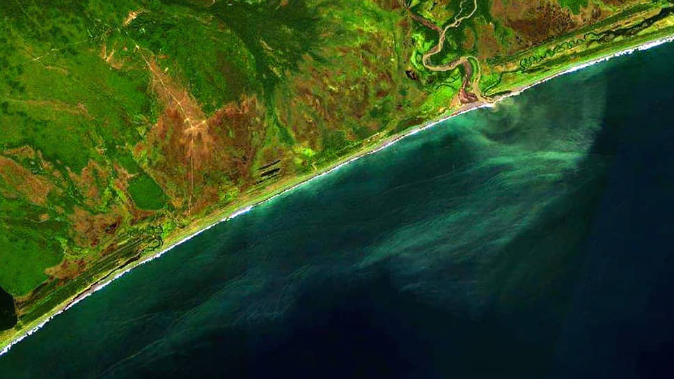 Загрязнение Тихого океана у берегов Камчатки